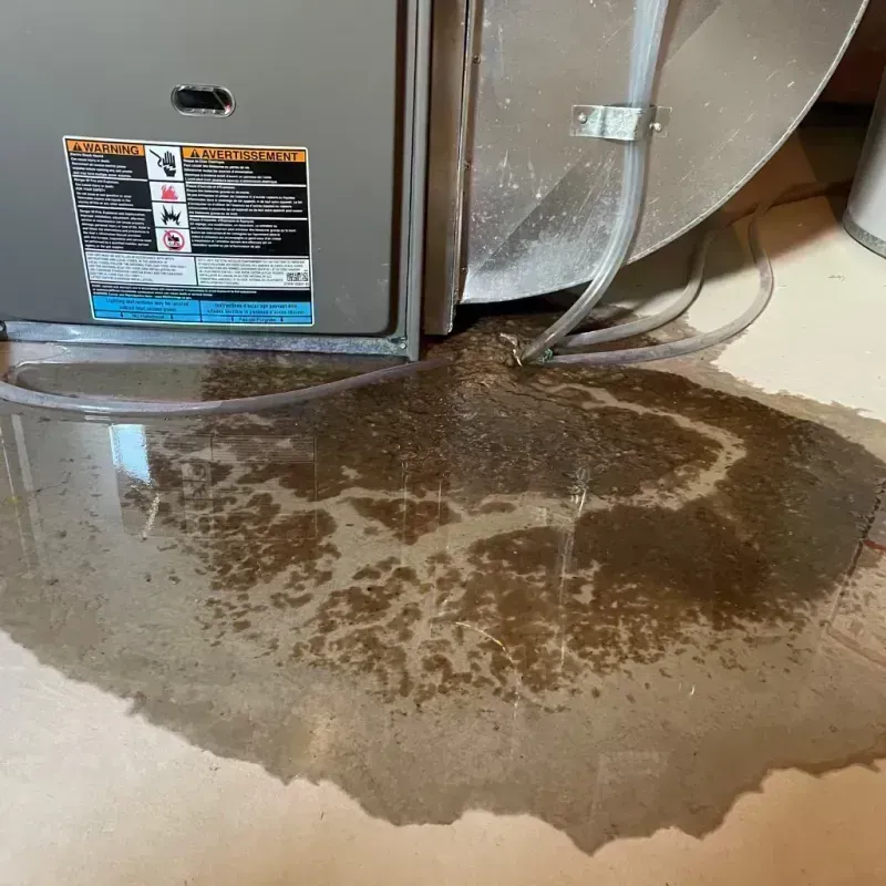 Appliance Leak Cleanup in Woodinville, WA